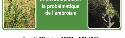 L’Ambroisie
