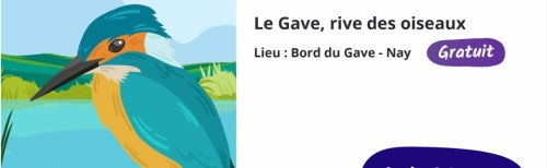 Printemps de la biodiversit&eacute; : partez &agrave; la d&eacute;couverte des oiseaux du Gave !